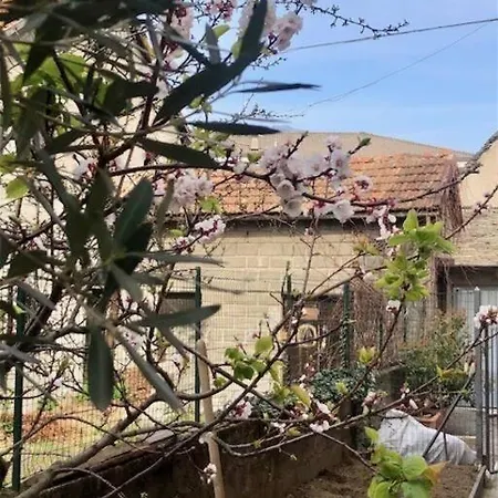 Giuditta Freecarpark&garden Apartman *