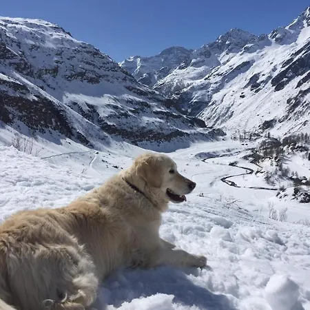 Apartman Giuditta Freecarpark&garden *