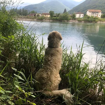 Giuditta Freecarpark&garden