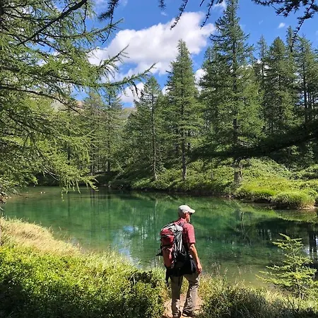 Giuditta Freecarpark&garden