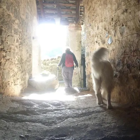 Giuditta Freecarpark&garden Apartman *