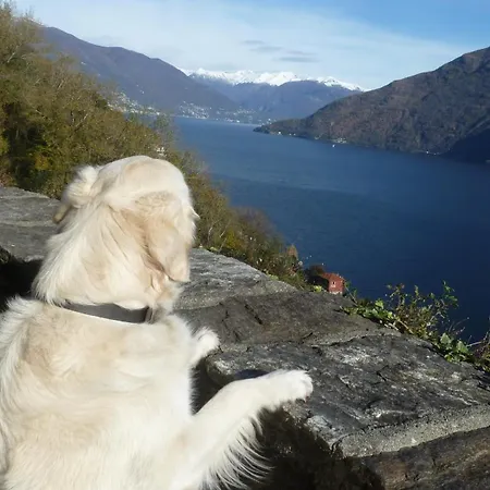 Giuditta Freecarpark&garden Apartment Domodossola