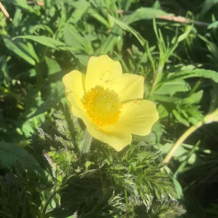 Apartman Giuditta Freecarpark&garden Domodossola