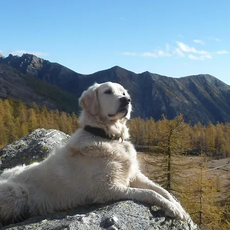 Giuditta Freecarpark&garden Apartman