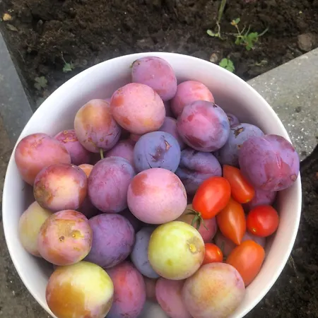 Apartamento Giuditta Freecarpark&garden *