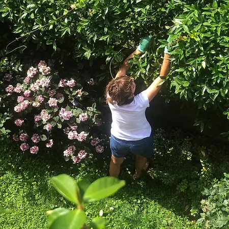 Giuditta Freecarpark&garden Appartement