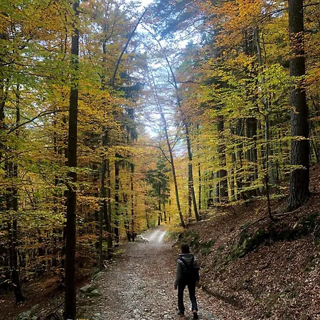 Apartamento Giuditta Freecarpark&garden *